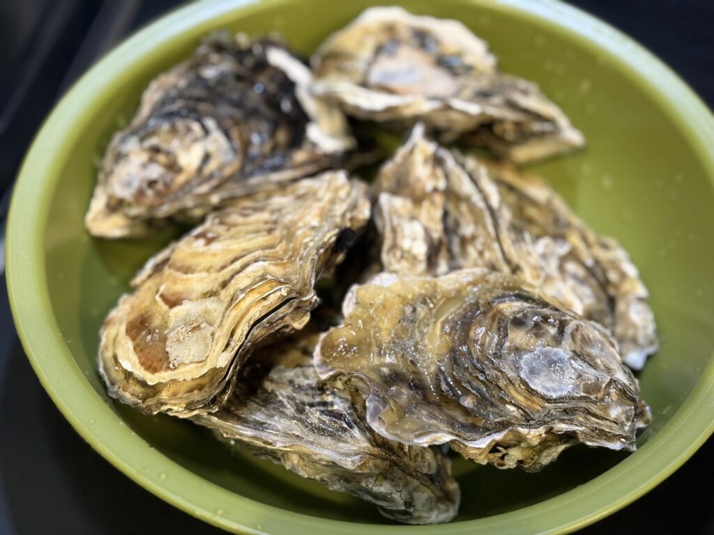 食べチョクで買った殻付き牡蠣