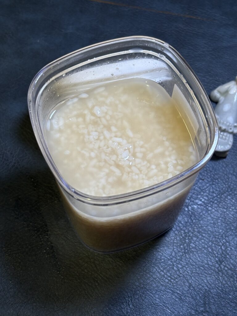 発酵中の白い醤油麹 状態 途中経過