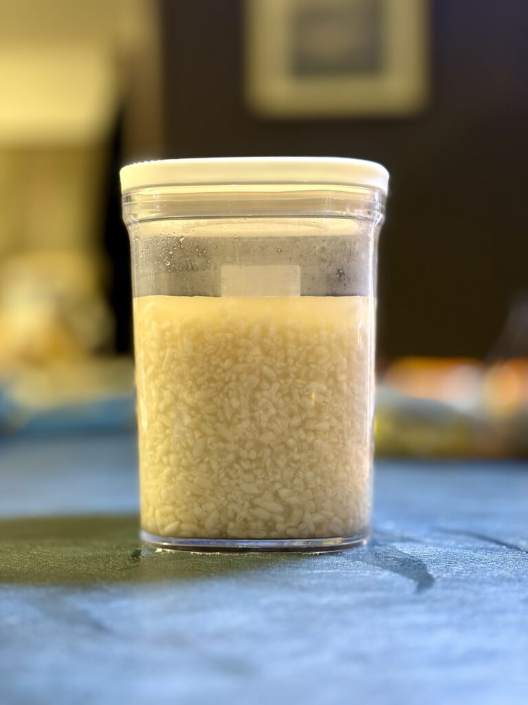 完成した白い醤油麹 透明で色がつかない調味料