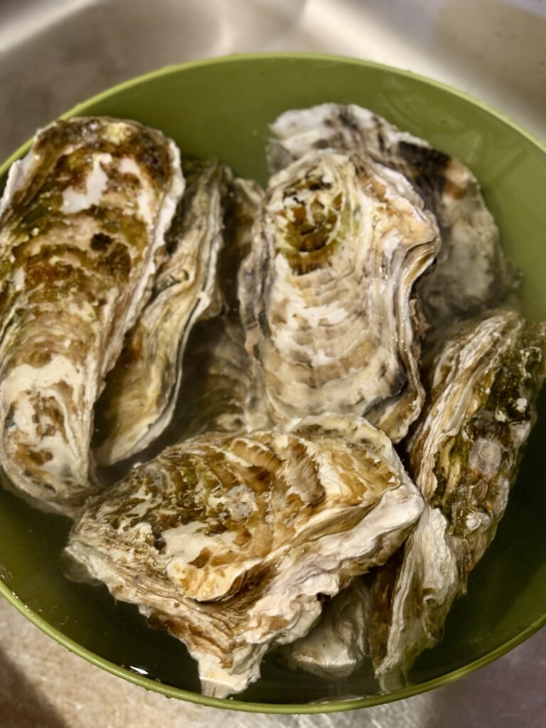 冷凍生食用牡蠣を冷水解凍している様子