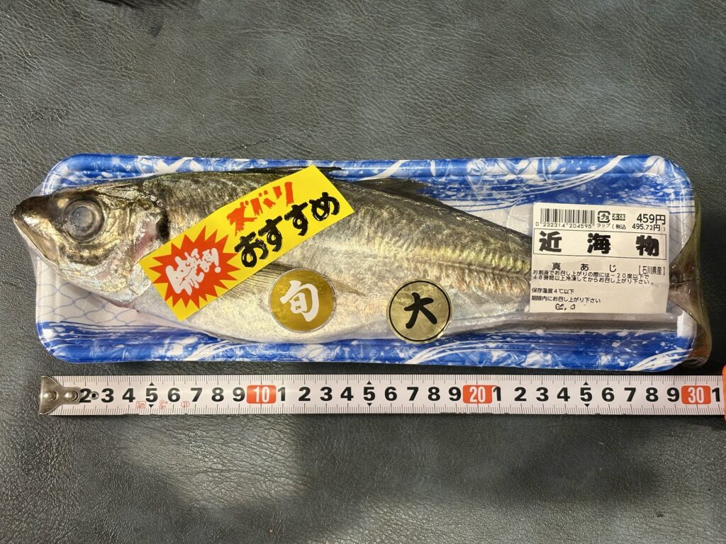 特大アジの大きさをメジャーで測った写真