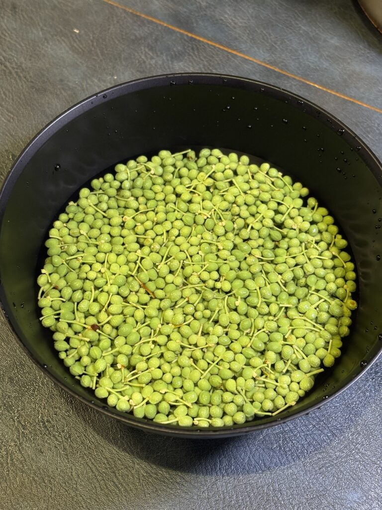 下茹でした山椒の実を水にさらしている様子