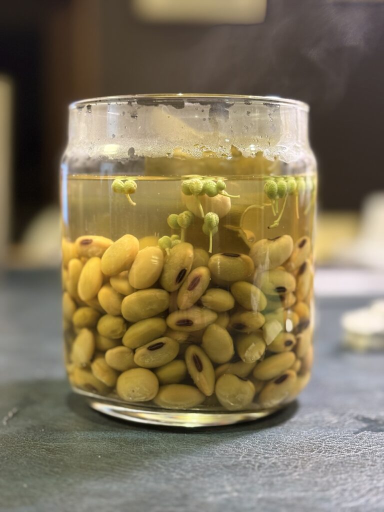 蒸しひたし豆の青山椒昆布だし浸し