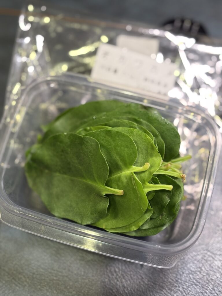 おかわかめの葉をパックに入れた状態