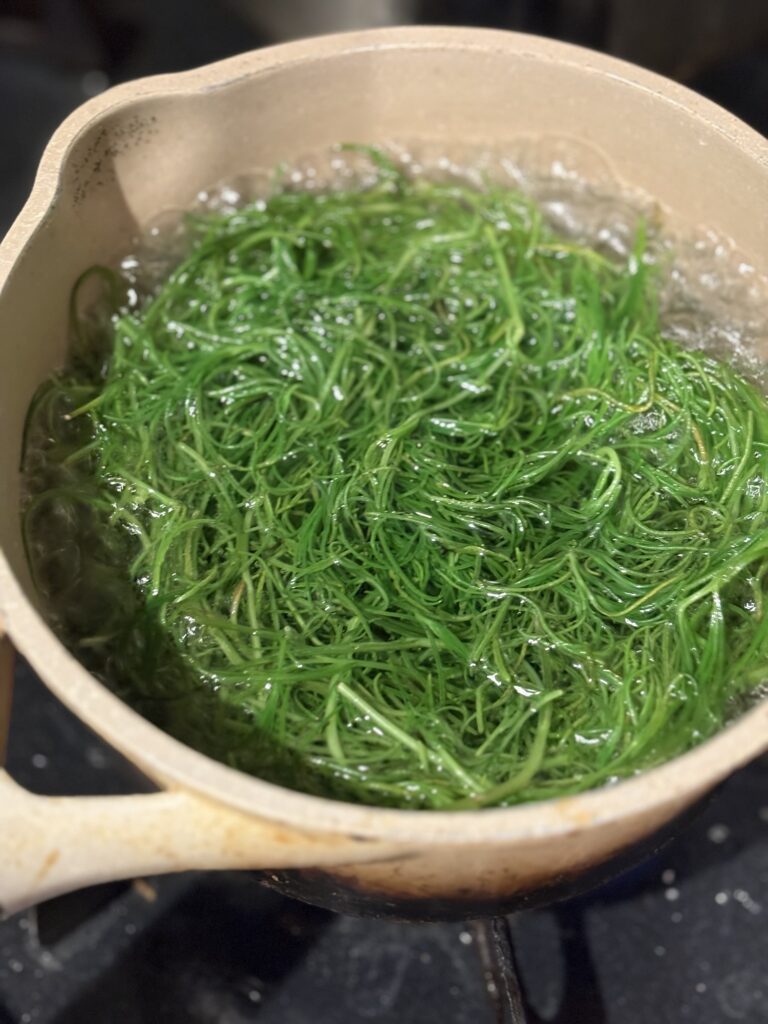 おかひじきを鍋でさっと茹でている様子