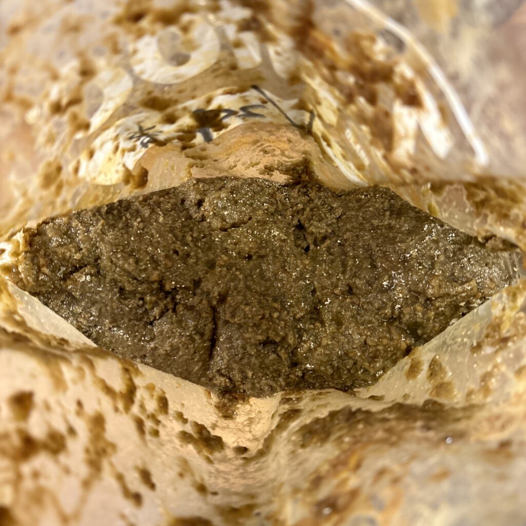 乾燥そら豆と米麹と塩と青唐辛子だけ