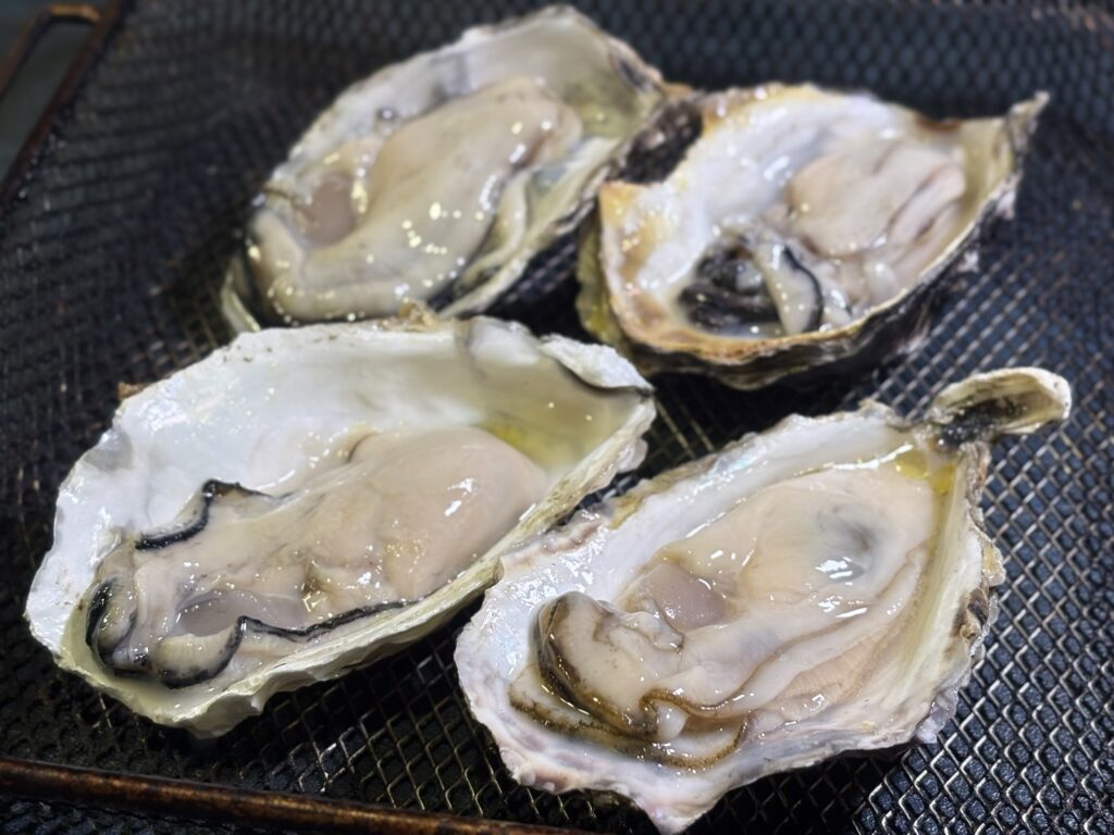 殻を外した牡蠣を網バットに並べた写真